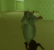Dancing rat